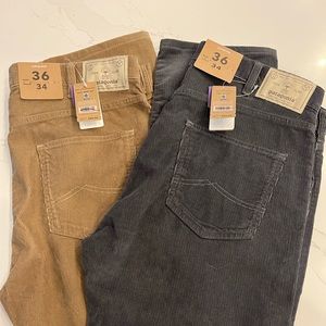 Patagonia Corduroy Pants 2 Pair NWT 36/34